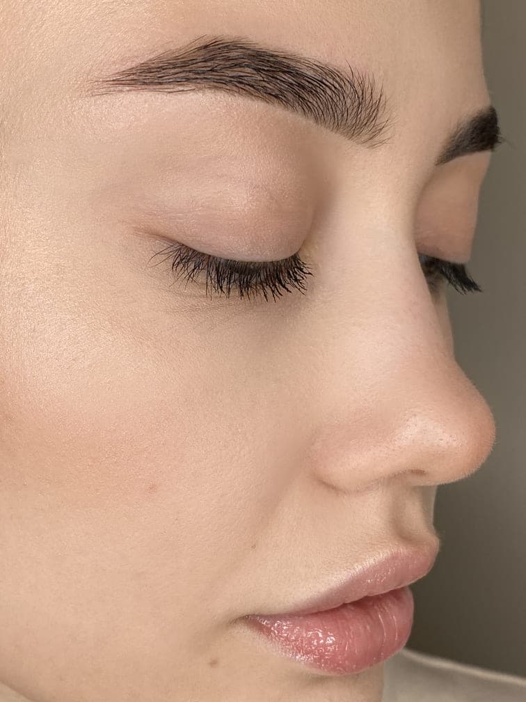 Бровист с нуля